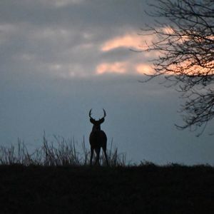 Meet your Posher, Cathy